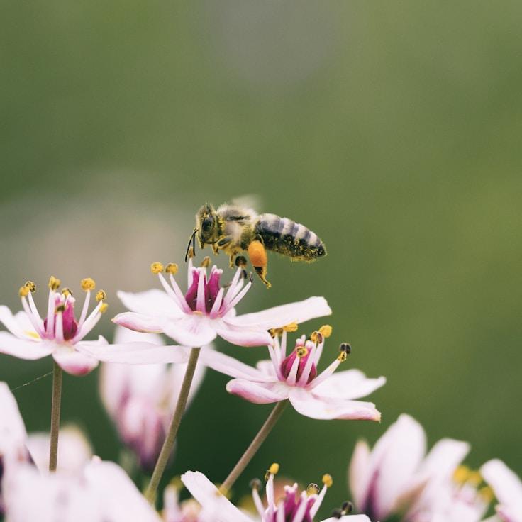 Low-impact nature route
